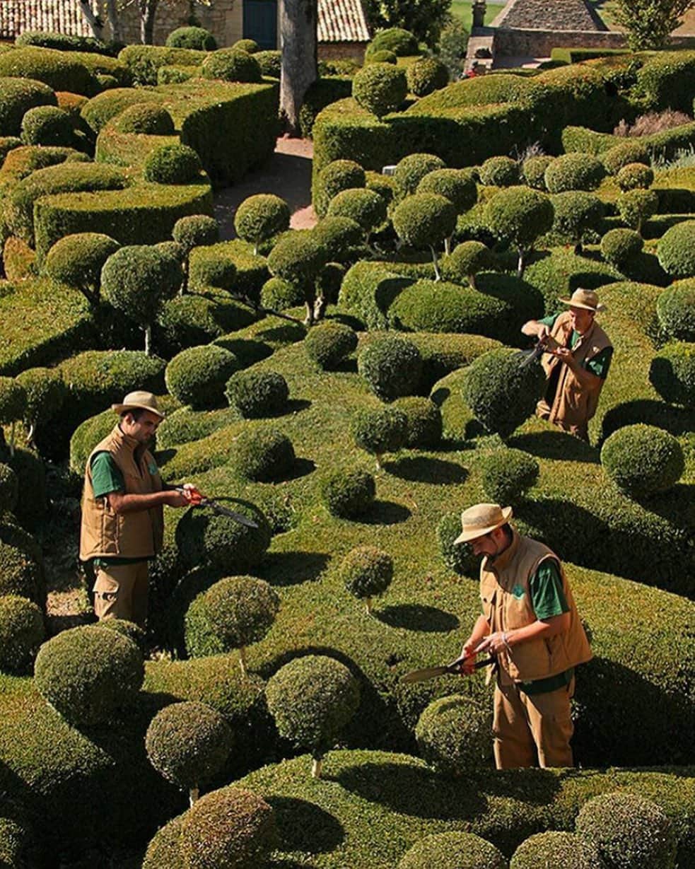 のインスタグラム：「Getting the perfect trim at the Marqueyssac Gardens, 1860 🌳 via @concepttalk」