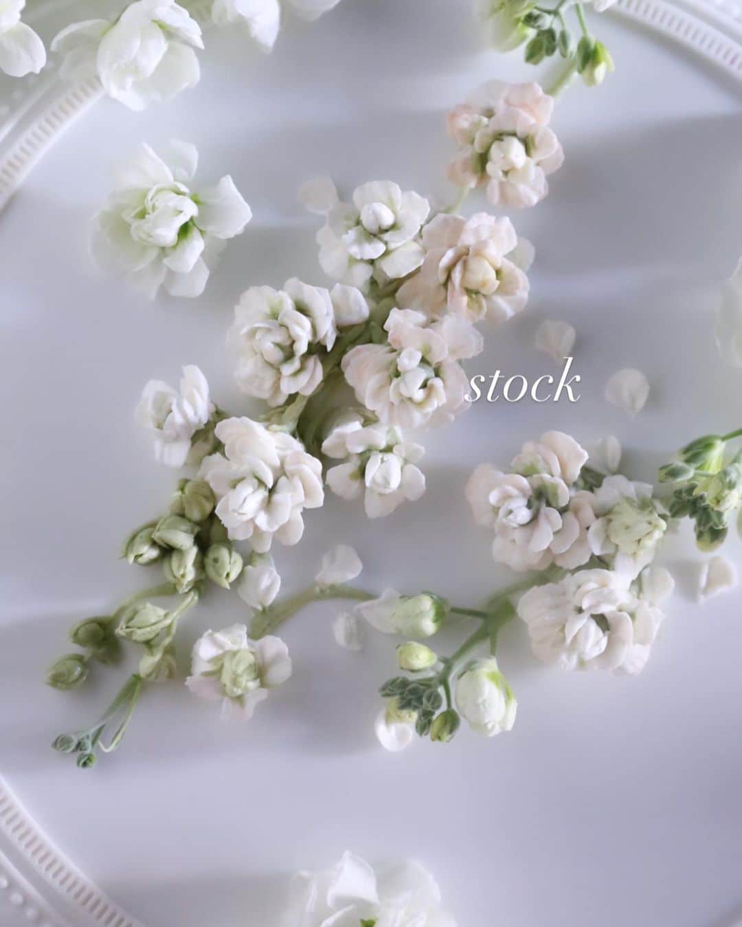 청담 수케이크 (atelier soo)さんのインスタグラム写真 - (청담 수케이크 (atelier soo)Instagram)「ㅡ Buttercream flower.  Soocake style stock. 2020. ㅡ #flower #cake #flowercake #partycake #birthday #bouquet #buttercream #baking #wilton #weddingcake #peony  www.soocake.com vkscl_energy@naver.com」12月7日 7時29分 - soocake_ully