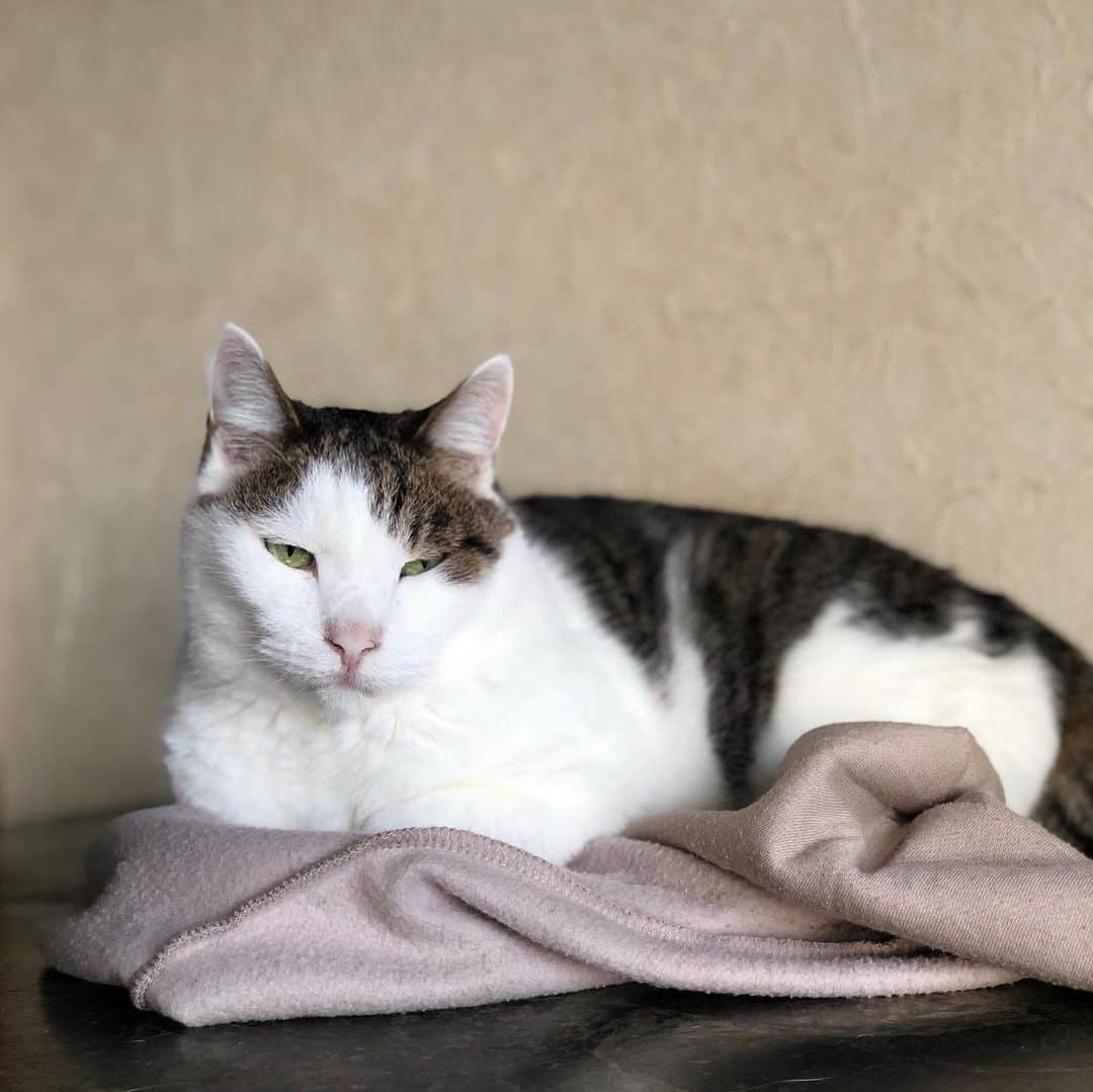 のインスタグラム：「去年、買うたやつやからええよなあ。」