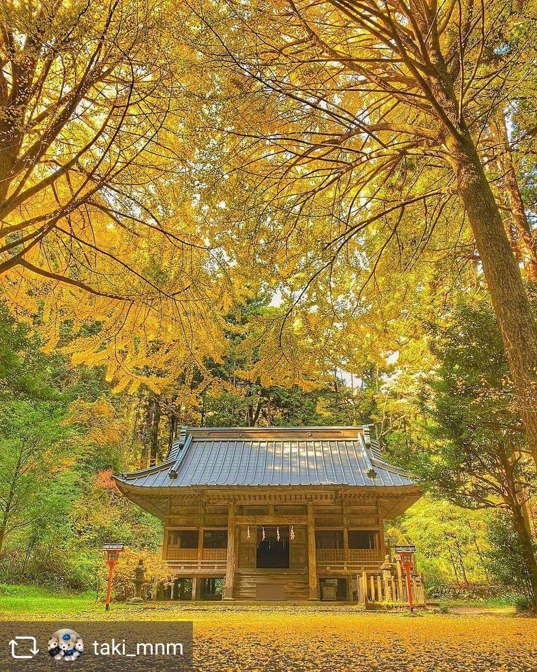 東京カメラガールズさんのインスタグラム写真 - (東京カメラガールズInstagram)「. . 今回のフィーチャーは @taki_mnm さんの素敵な1枚👏 ご投稿ありがとうございます！ そして、おめでとうございます✨  これからもお写真の投稿楽しみにしています😊✨ ぜひ皆さんも、#カメラガールズ #東京カメラガールズ をつけて投稿してみてくださいね！ 素敵な写真を見つけ次第、こちらのアカウントでご紹介させていただきます😊 . . . . ＼部員募集／ カメラガールズメンバーになると 楽しいイベントや貴重な体験が 盛りだくさん！ 🖥 www.camera-girls.net カメラガールズ で検索してぜひ部員登録してね！ 登録は無料です(*´ᴗ`*)♪ . . . .」12月7日 9時23分 - tokyocameragirls