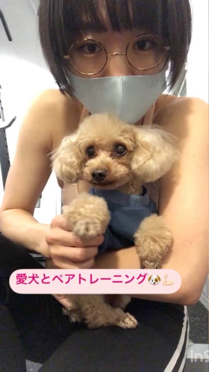 のインスタグラム：「犬OKジムに愛犬を連れてトレーニング🐶💪🏻 ・ 膝に愛犬を乗せて、リバースプッシュアップ！ 2.3kgのウェイトを乗せた感じだねw ・ ドッグヨガがあるくらいだから、ドッグトレーニング？ドッグジム？ドッグ筋トレ？があってもいいよね！ ・ #時東ぁみ #パーソナルトレーニング #プライベートジム #プライベートジムmiro #miro #完全個室  #トレーニング #training #筋トレ #筋トレ女子 #トレーニングウェア#trainingwear #トレーニー  #モテる体 #いつでも脱げる身体 #どこから見ても #ペアトレーニング #犬okジム #リバースプッシュアップ #二の腕痩せ #ドッグヨガ #ドッグトレーニング #ドッグジム #ドッグ筋トレ #発明美人とパインナッポー #いぬすたぐらむ #犬バカ部」