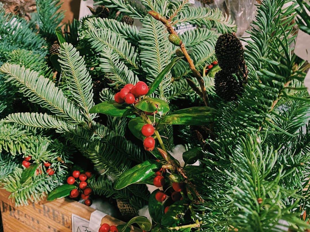 柏の葉 T-SITEさんのインスタグラム写真 - (柏の葉 T-SITEInstagram)「【PICK UP】﻿ 『今週のdecora便🌿 #18』﻿ ﻿ 〈ジャンル〉食・暮らし﻿ 〈場所〉1F 暮らし﻿ ﻿ こんにちは。﻿ フラワーショップ デコラ @decoradecora さんから﻿ 届いたお花をご紹介するこちらのコーナー。﻿ ﻿ 今週は小さめのクリスマスの商品が﻿ 沢山入荷しております🎄﻿ ﻿ #モミのスワッグ には #クリスマスホーリー﻿ #モミのミニスワッグ には #シンフォリカルポス﻿ ミニリースには #サンキライ …と﻿ クリスマスには欠かせない赤い実で彩られています。﻿  ﻿ 他にも #チェッカーベリー が鉢物で入荷しました！﻿  ﻿ 大きい #トーヒ は ﻿ クリスマスアレンジがされています。﻿ こちら、松ぼっくりではないんですって👀﻿ こちらも赤い #トウガラシ がポイントになってます。﻿ ーーーーーーーーーーーーーーーーーーーーー﻿ 今週は鮮やかな赤がポイントのアイテムが﻿ 多く届きました。﻿ クリスマスまでのカウントダウン、皆様の生活に﻿ 彩りが加わりますように！﻿ ﻿ #柏の葉tsite #tsite #柏の葉蔦屋書店 #蔦屋書店 #おうちガーデン #decora #お花のある暮らし #フラワーショップ #フラワーギフト #冬のインテリア #かすみ草ブーケ #レインボーブーケ #クリスマスアレンジ #」12月7日 10時42分 - kashiwanohatsite