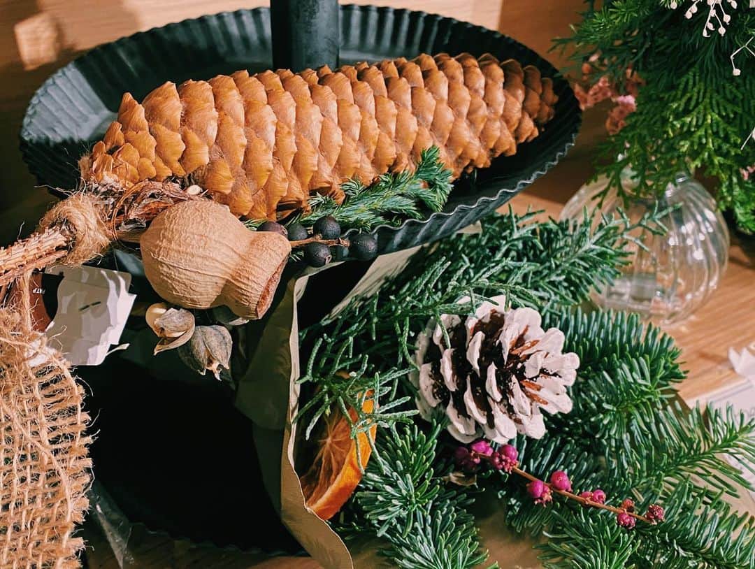 柏の葉 T-SITEさんのインスタグラム写真 - (柏の葉 T-SITEInstagram)「【PICK UP】﻿ 『今週のdecora便🌿 #18』﻿ ﻿ 〈ジャンル〉食・暮らし﻿ 〈場所〉1F 暮らし﻿ ﻿ こんにちは。﻿ フラワーショップ デコラ @decoradecora さんから﻿ 届いたお花をご紹介するこちらのコーナー。﻿ ﻿ 今週は小さめのクリスマスの商品が﻿ 沢山入荷しております🎄﻿ ﻿ #モミのスワッグ には #クリスマスホーリー﻿ #モミのミニスワッグ には #シンフォリカルポス﻿ ミニリースには #サンキライ …と﻿ クリスマスには欠かせない赤い実で彩られています。﻿  ﻿ 他にも #チェッカーベリー が鉢物で入荷しました！﻿  ﻿ 大きい #トーヒ は ﻿ クリスマスアレンジがされています。﻿ こちら、松ぼっくりではないんですって👀﻿ こちらも赤い #トウガラシ がポイントになってます。﻿ ーーーーーーーーーーーーーーーーーーーーー﻿ 今週は鮮やかな赤がポイントのアイテムが﻿ 多く届きました。﻿ クリスマスまでのカウントダウン、皆様の生活に﻿ 彩りが加わりますように！﻿ ﻿ #柏の葉tsite #tsite #柏の葉蔦屋書店 #蔦屋書店 #おうちガーデン #decora #お花のある暮らし #フラワーショップ #フラワーギフト #冬のインテリア #かすみ草ブーケ #レインボーブーケ #クリスマスアレンジ #」12月7日 10時42分 - kashiwanohatsite