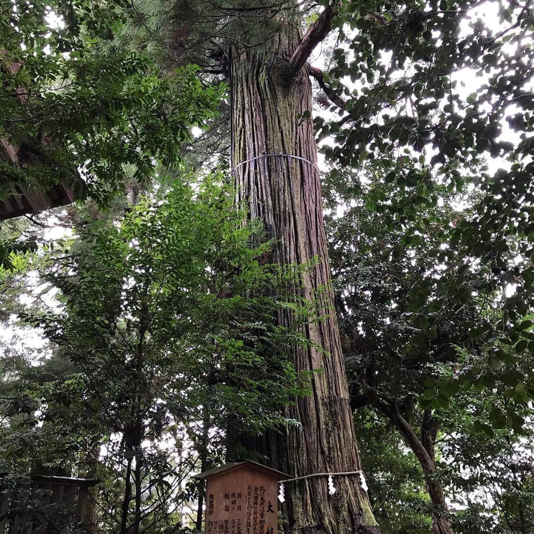 土屋眞弓さんのインスタグラム写真 - (土屋眞弓Instagram)「龍神様お姿をお見せ下さいました🐉✨ 須佐神社御参拝👏👏👏👏🙏 有難うございます🙇‍♀️  #須佐神社 #須佐之男命 #龍神様」12月7日 11時30分 - mayumi.vivian