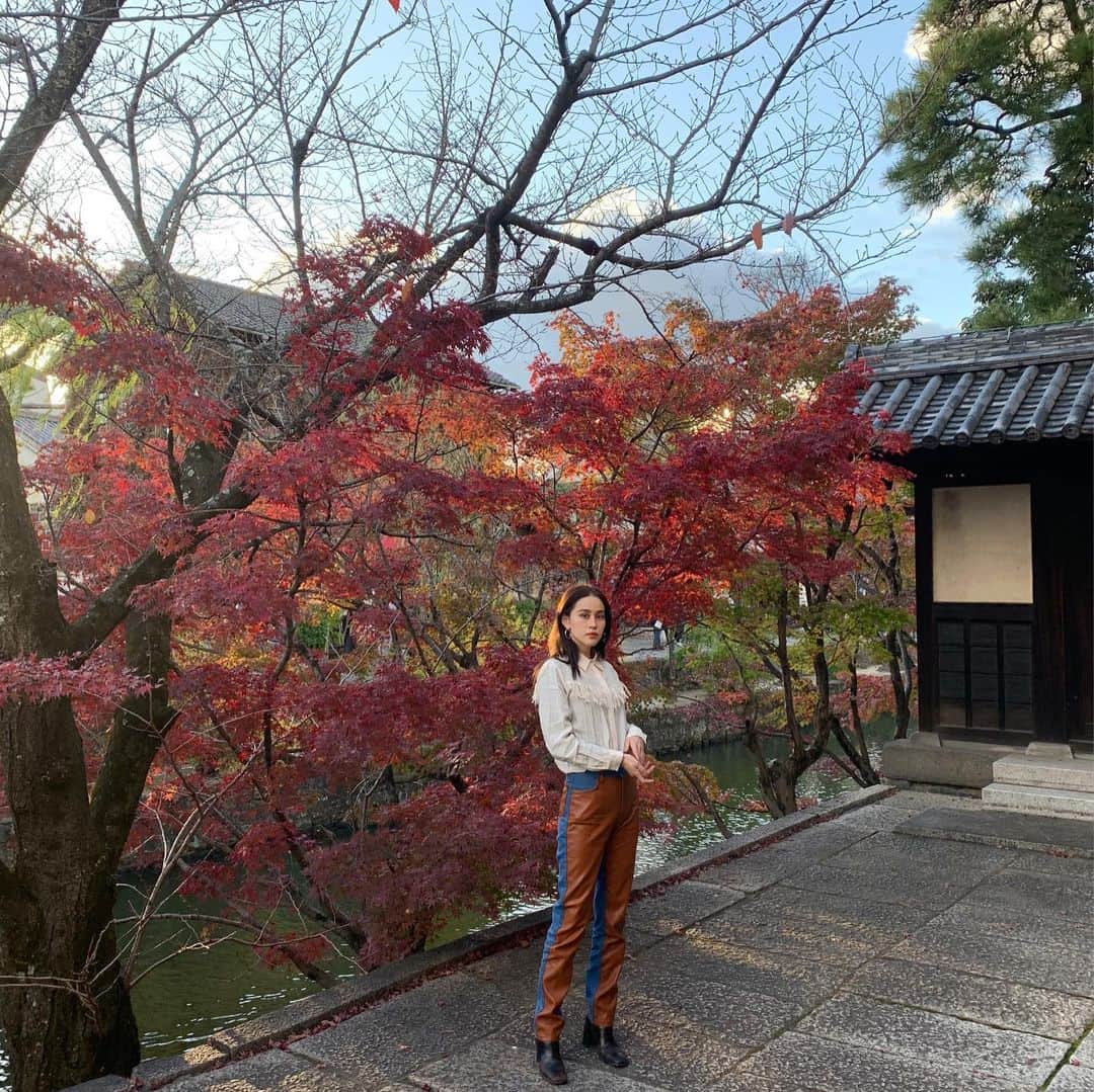 安田唯のインスタグラム：「🍂🍁」