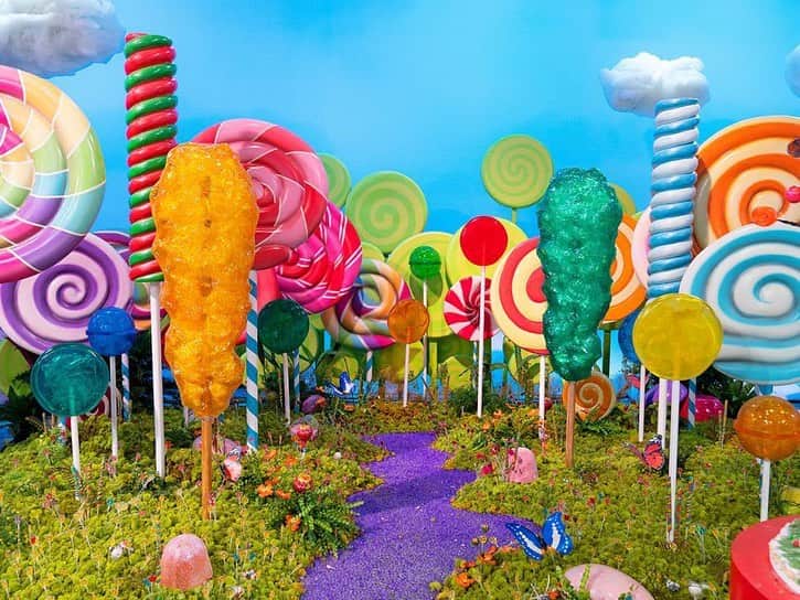 クリスティン・チェノウェスさんのインスタグラム写真 - (クリスティン・チェノウェスInstagram)「I’ve gotta know!! Which #CandyLand world is your favorite and WHY?! Comment below to tell me... there just might be a special surprise in store! 💖 And don’t miss a NEW episode of #CandyLand, next Sunday at 9|8c! 🍭🍬🍫🍋 @foodnetwork」12月7日 12時23分 - kchenoweth