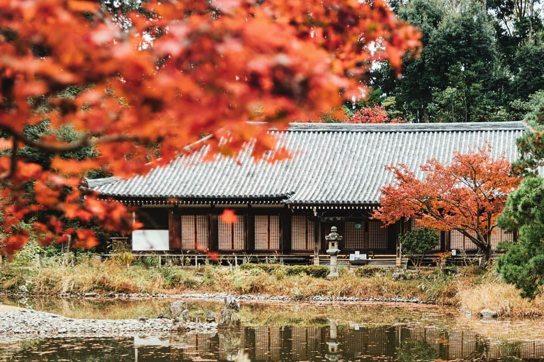 京都いいとこフォトのインスタグラム：「京都府の南端、木津川市の浄瑠璃寺。 中央の池を一周しながら、様々な秋の彩りを楽しむことができました。 . Joruri-ji Temple in Kizugawa City, at tthe southern edge of Kyoto Prefecture. I was able to enjoy various autumn colors while going around the central pond. . . . Date:2020.11.20 Location:#浄瑠璃寺 #joruriji Photo:@iharalba .」