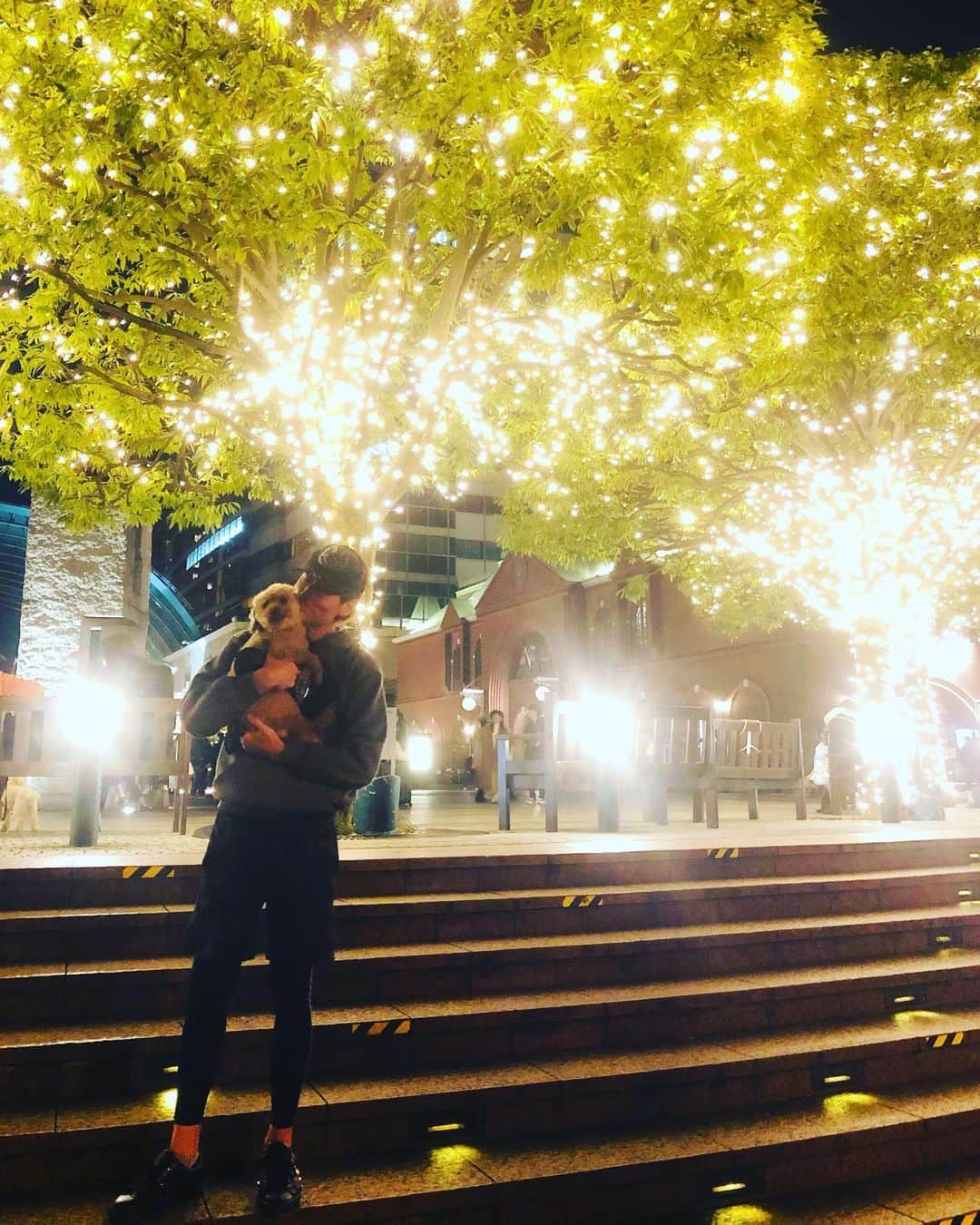 マイケル富岡のインスタグラム：「素敵なイルミネーションを見にモコとお散歩♡ #love #mybaby #actor #actorslife #マイケル富岡 #タレント #俳優 #撮影 #愛犬 #愛犬家 #christmas #illumination #ebisu #ebisugardenplace #generalamericanhome #usa #lalife #shooting #resort #family」