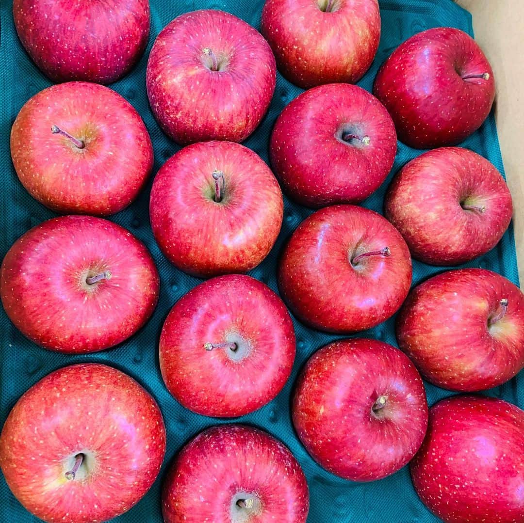 稲葉千秋さんのインスタグラム写真 - (稲葉千秋Instagram)「三戸町から立派なリンゴが届きました〜😆❤️ ありがとうございます😭✨ 会社のみんなで分けました🎵 大きくて綺麗な形🍎 甘さと酸味のバランスも絶妙👏 食べやすいリンゴです🥰  #三戸町からの贈り物 #三戸りんご #青森のりんご #農家さんの愛情たっぷり #青森の誇り #甘くて美味しい #青森自慢 #おすすめ #秋の味覚 #三戸町ふるさと応援大使」12月7日 22時15分 - chakey_15