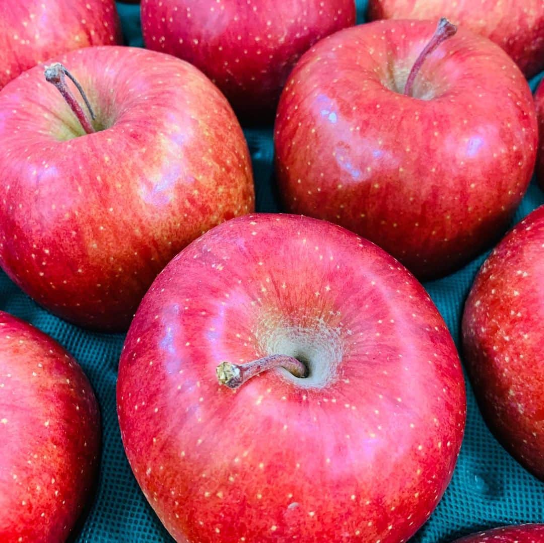 稲葉千秋さんのインスタグラム写真 - (稲葉千秋Instagram)「三戸町から立派なリンゴが届きました〜😆❤️ ありがとうございます😭✨ 会社のみんなで分けました🎵 大きくて綺麗な形🍎 甘さと酸味のバランスも絶妙👏 食べやすいリンゴです🥰  #三戸町からの贈り物 #三戸りんご #青森のりんご #農家さんの愛情たっぷり #青森の誇り #甘くて美味しい #青森自慢 #おすすめ #秋の味覚 #三戸町ふるさと応援大使」12月7日 22時15分 - chakey_15