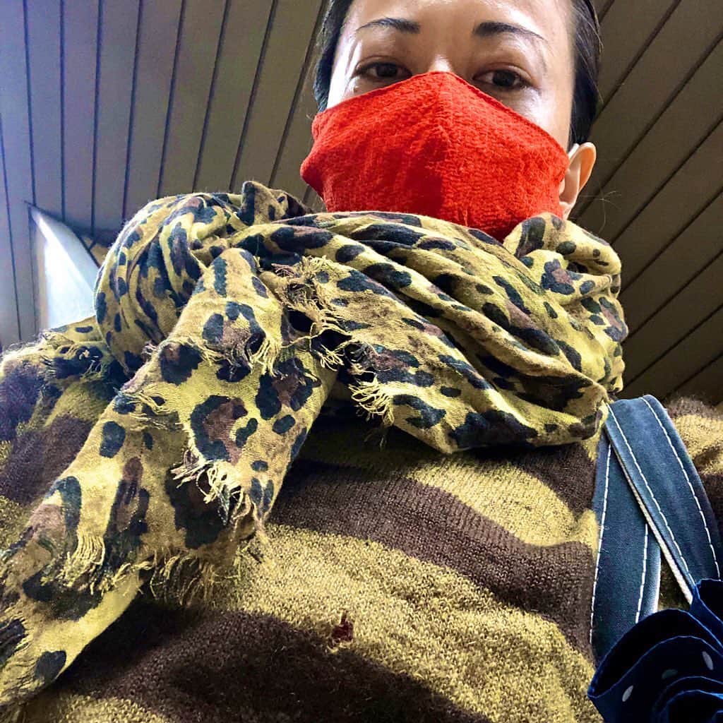池田有希子のインスタグラム：「セーターの穴をどうやってふさごうかな。触覚あった方が可愛いかな。  #darning #mending #needlework #yarnwork」