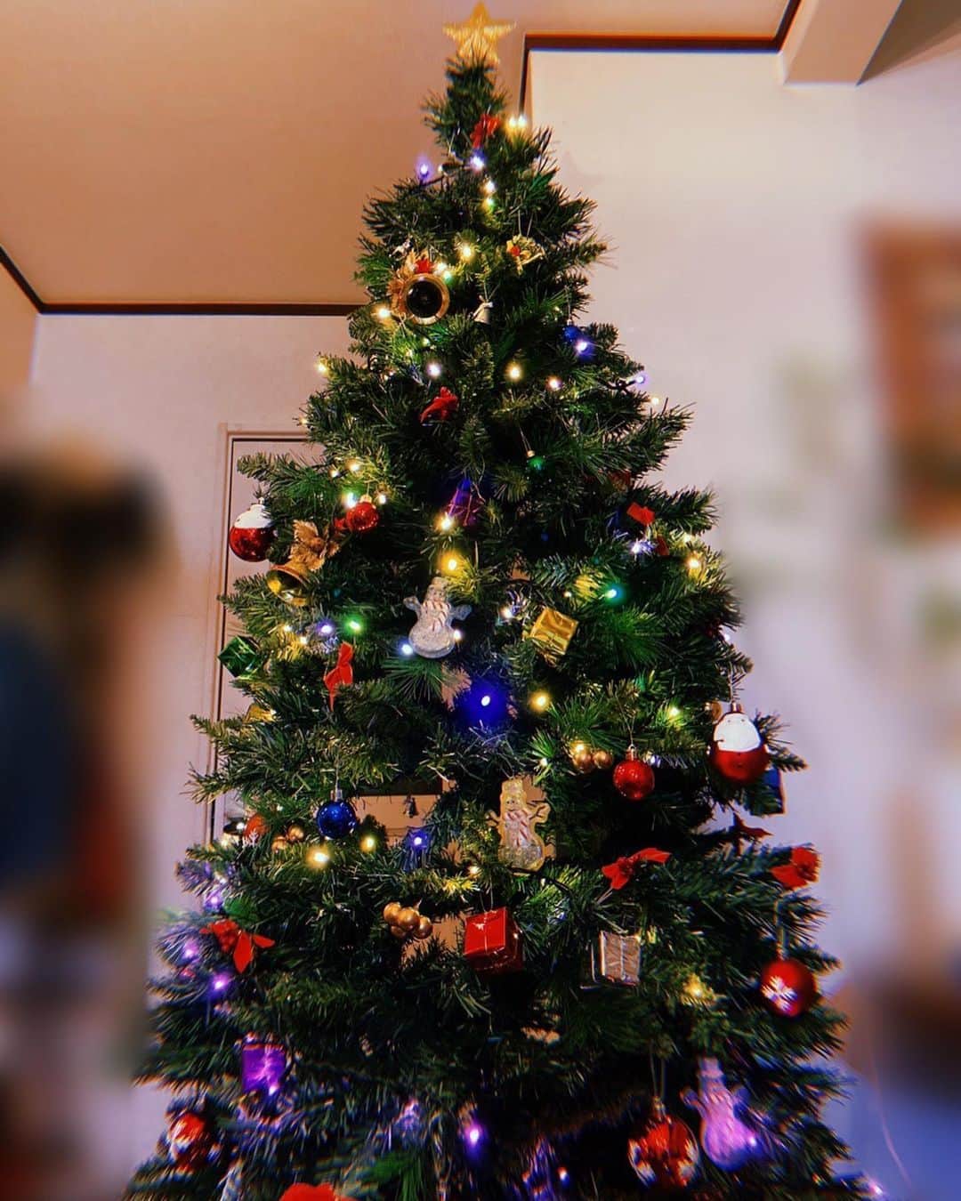 小室ゆらさんのインスタグラム写真 - (小室ゆらInstagram)「.﻿ ﻿ ﻿ 12/7は #ツリーの日 ということで、﻿ おうちのクリスマスツリーを出しました🎄✨﻿ ﻿ なんでツリーの日かというと﻿ 時は明治18年の今日、﻿ 横浜で初めて #クリスマスツリー が飾られた日だから◎﻿ ということらしいです🤭﻿ ﻿ 素敵なエピソード .. ♡﻿ ﻿ にゃにゃ子も早速ご対面してました🐱💭﻿ ﻿ ﻿ #茶トラ女子部 #猫のいる生活 ﻿ ﻿ ﻿ .」12月7日 22時56分 - komuro_yura_official
