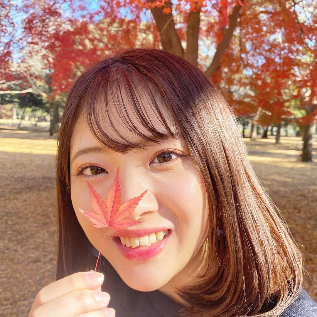 山田杏奈のインスタグラム：「12/6、21歳になりました💄✨﻿ ﻿ もっと強く逞しく美しくなれるよう﻿ 努力の1年にしたいです❤️﻿ ﻿ 今年の1年間も成長し続けます！﻿ これからも暖かく見守ってください☺️﻿ ﻿ #mybirthday #紅葉 #🍁」