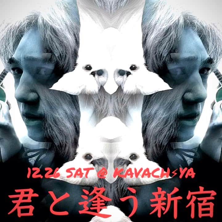 イマイアキノブのインスタグラム：「🥀12.26(土) @ KAVACH⚡︎YA 新宿 『君と逢う新宿』vol.24  出演 イマイアキノブ 山本久土 サトウミノル  open 19:00 start  19:30  music charge  ¥2500＋飲物代  予約 問い KAVACH⚡︎YA  新宿区歌舞伎町2-9-18 ライオンズプラザ新宿2F ☎︎03 6233 8677 (20:00-06:00)  #KAVACH⚡︎YA #君と逢う新宿 #山本久土 #サトウミノル #imaiakinobu  #イマイアキノブ #livemusic」