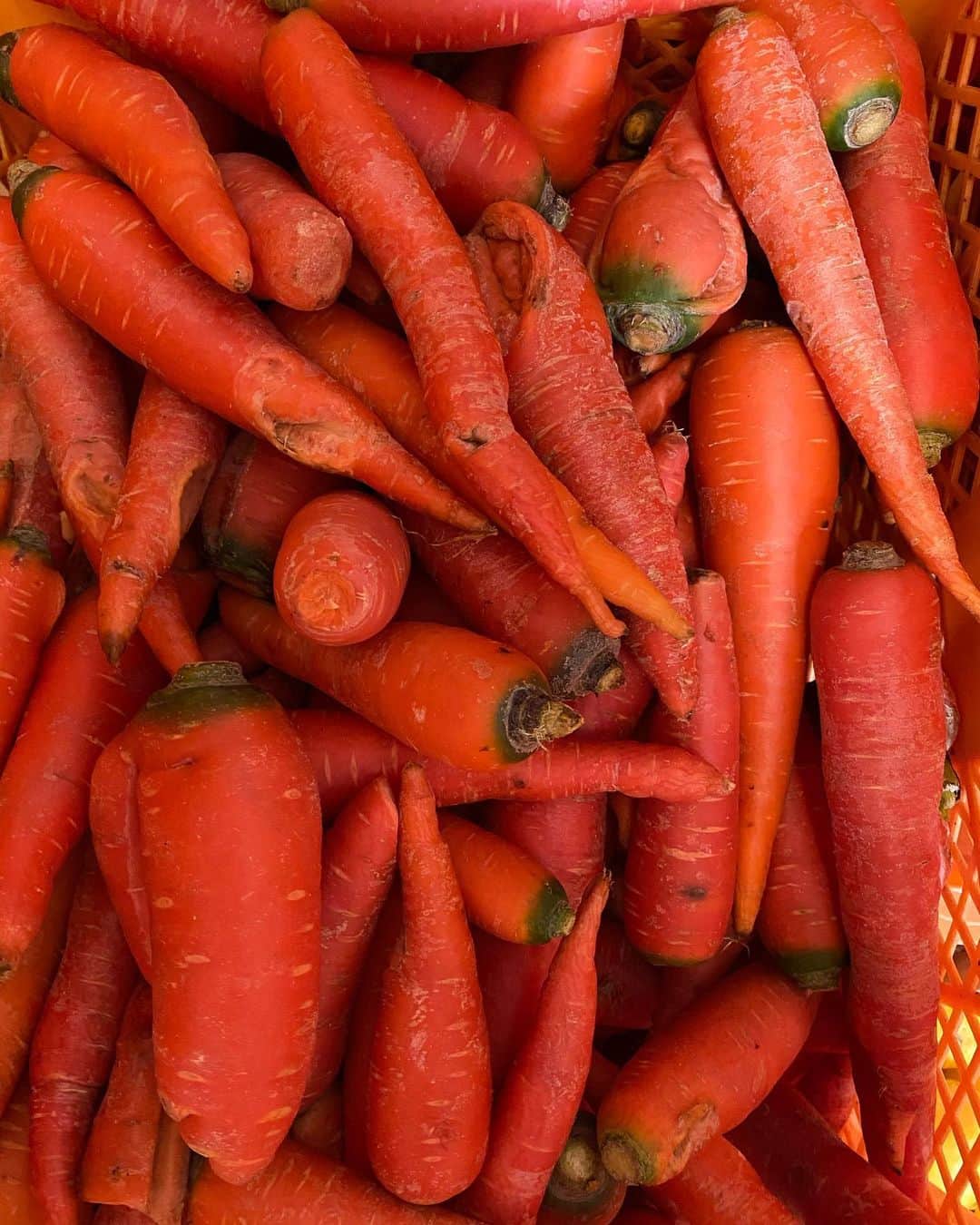 Sunshine Juiceのグルメインスタ