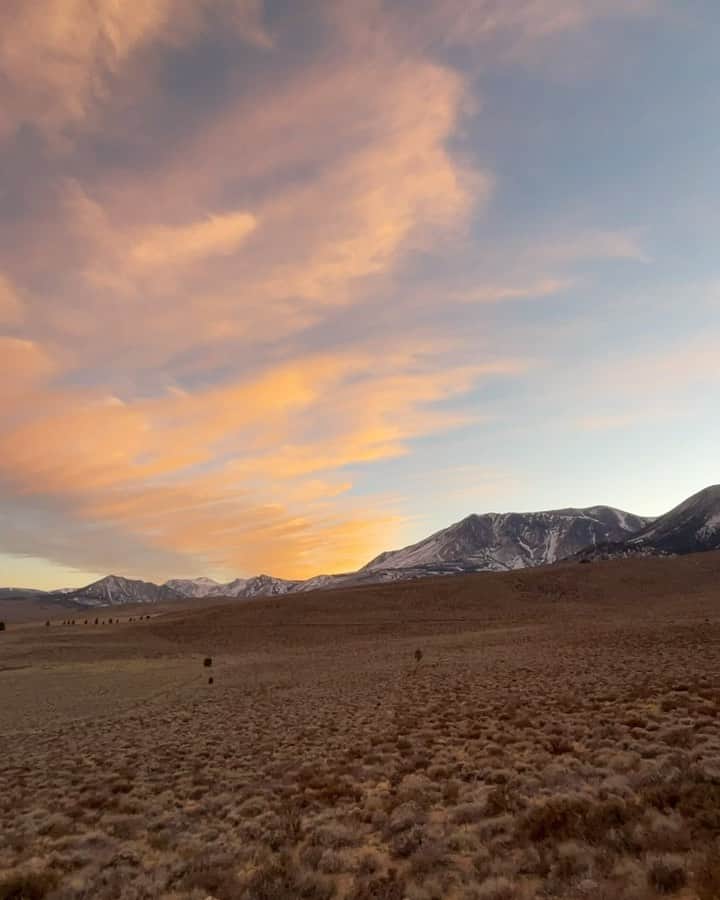 クリス・バーカードのインスタグラム：「It’s funny how something as simple as a good sunset can bring about childlike joy. Some really good medicine over the last few days.  @iamspecialized_adv  @srammtb  @zippspeed  @schwalbetires」