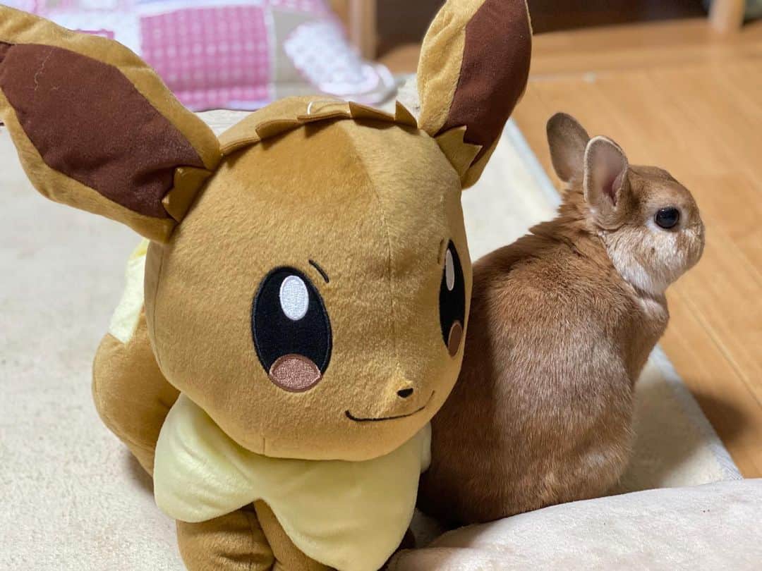 ラン?のインスタグラム