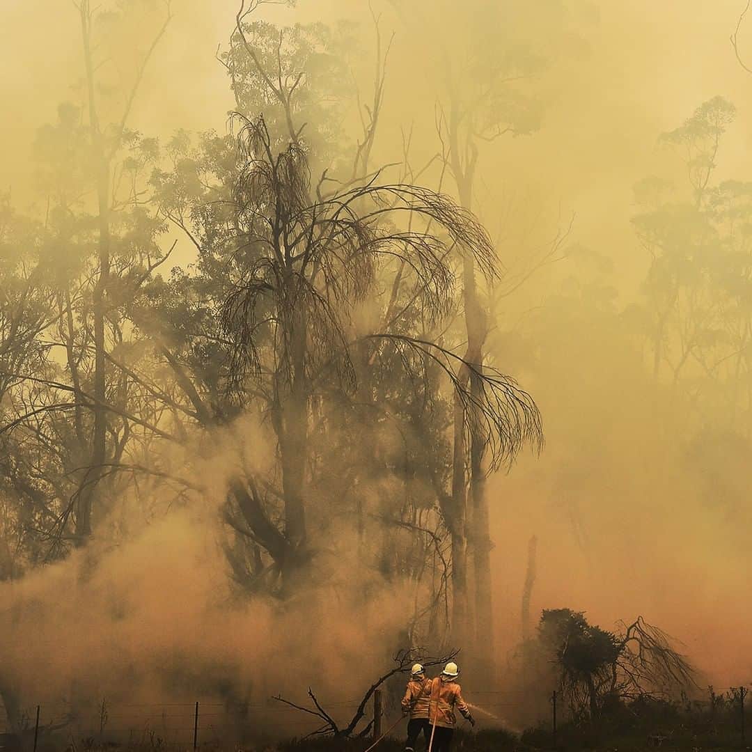 Nikon Australiaさんのインスタグラム写真 - (Nikon AustraliaInstagram)「Join us live for our #TheNextChapter event with Nikon Ambassador and multi-award-winning photojournalist @kate.geraghty.  In this session we chat to Kate about her approach to photojournalism during a year covering stories of conflict in Syria, Bushfires and COVID-19.  Hosted by @tomgoldnerphoto, Australian Photography Awards.  Register your attendance via the link in our bio.  #Nikon #MyNikonLife #NikonAustralia #Photojournalism #SMH」12月7日 15時15分 - nikonaustralia