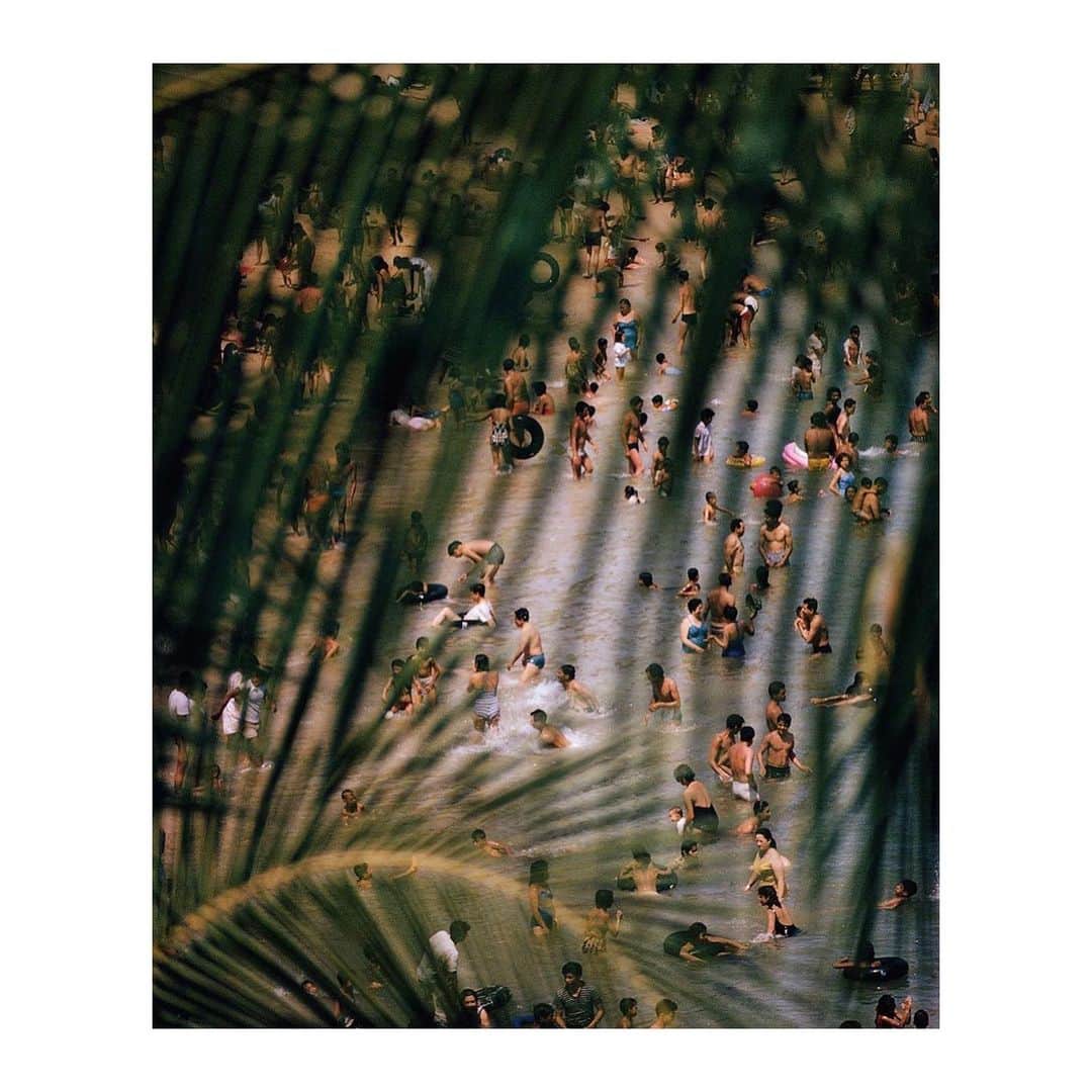 ティーバッグスのインスタグラム：「Eye on resort ✨ Our newest collection drops this week. Shop select styles at the link in our bio.  #Resort21 #MISAworld   Photo by Thomas Nebbia via @slow_roads」