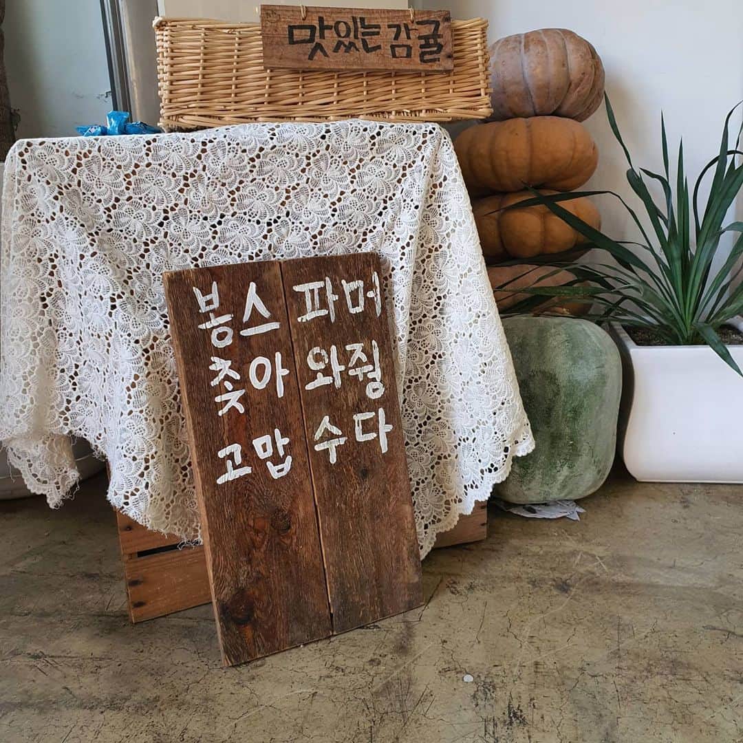 チョン・ダへさんのインスタグラム写真 - (チョン・ダへInstagram)「오랜만에 공복 걷기 그리웠던 곶자왈을 돌고, 아쉬워 저지오름까지 한바퀴  늘 아침 일찍 다녀서  문 닫혀있을 때만 지나쳐왔던 #봉스파머 두번째로 도느라 좀 늦게왔더니 문을 열었더라구요☺  보고싶고 그리운 육지 분들께 귤 선물 샥샥샥 보내고 우리 먹을 것도 사왔더니 든든하네요~^^  #딸래in제주 #제주도민 #제주살이#이젠춥다 #그래도제주는따듯하네요  #춥다덥다 #귤부자」12月7日 15時27分 - ddallae