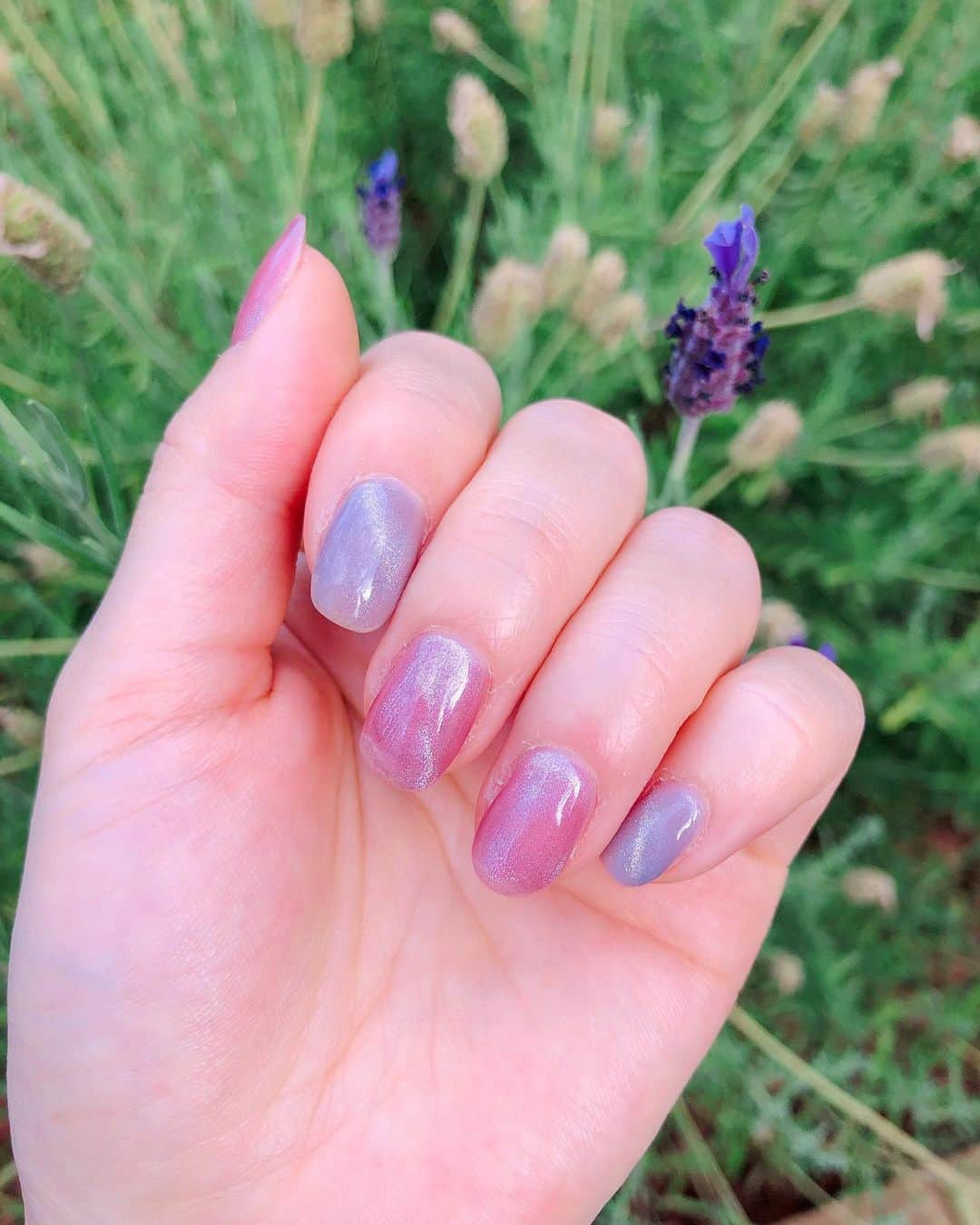 かにゃさんのインスタグラム写真 - (かにゃInstagram)「マグネットジェルネイルで爪がツヤツヤになりました💅✨ 写真だとあんまりマグネット感伝わらない🧲 爪長いと生活しずらいから今回は自爪😺 . . . #magnetnails #nails #nailart #nail #nailsofinstagram  #nails💅 #nailsoftheday #naildesigns #nailstyle #naildesign #nailsart #nailstagram #nailsalon #nailaddict #naillove #instanails #instanail #nailartaddict #melbournelife #ネイル #ネイルデザイン #ネイルアート #ネイルサロン #ジェルネイル #ジェルネイルデザイン #ネイルアートデザイン #ジェルネイルアート #ネイルチェンジ #マグネットネイル #マグネットジェル」12月7日 15時51分 - kanya_435