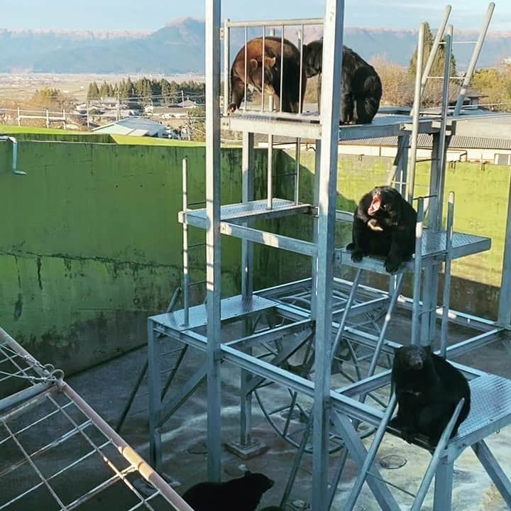 松隈ケンタのインスタグラム：「スクランブルズ社員旅行！」