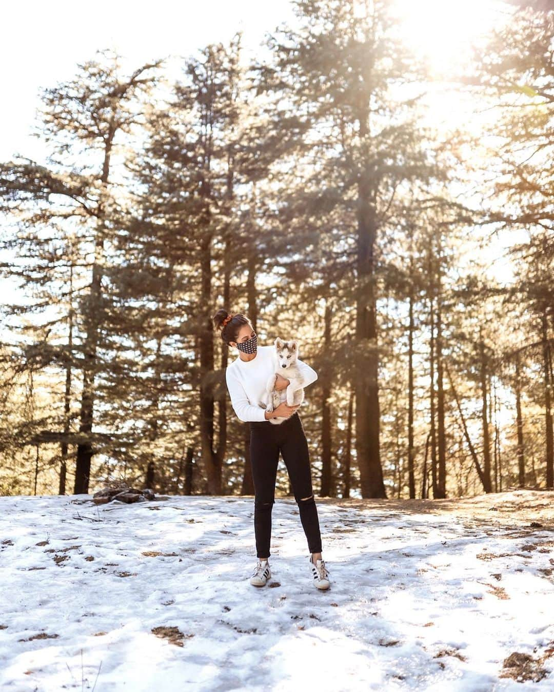 Aakriti Ranaさんのインスタグラム写真 - (Aakriti RanaInstagram)「Took our little travel Doggo to see horses, mountain doggos, donkeys, sheep and snoowwww ❄️for the first time 😋  📸 @aditya_rana #AakritiRana #snow #husky #huskypuppy #puppy #blueeyes #mountains #nature #travel #travelblogger #dogsofinstagram」12月7日 15時58分 - aakritiranaofficial