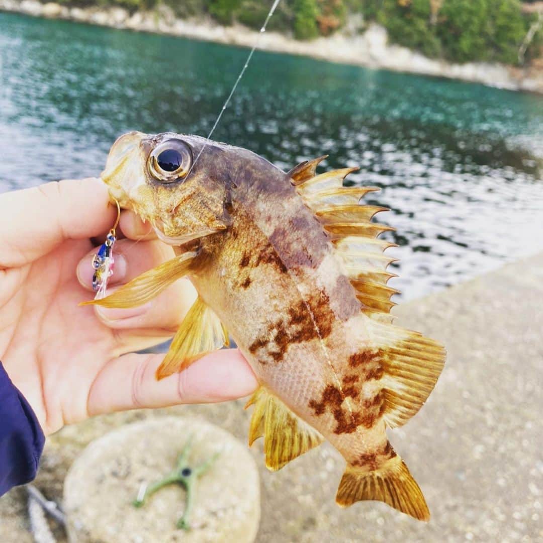 野崎森男さんのインスタグラム写真 - (野崎森男Instagram)「釣り  やりたくても出来ない時期は 釣り場に足を運びます」12月7日 16時14分 - morio_max