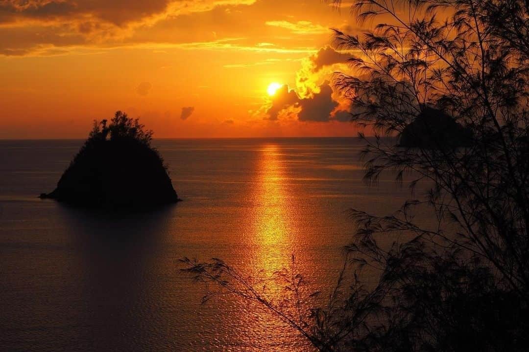 小笠原村観光局さんのインスタグラム写真 - (小笠原村観光局Instagram)「. いつもご覧いただきありがとうございます！ #ogasawalove のハッシュタグを付けて投稿してくださった素敵な写真を紹介します。  本日の作品は @sagarayan0712 さんのお写真です。  👇🏝コメントも一部ご紹介します。🏝👇  小笠原playback 島の夕陽コレクション🌞  当たり前に沈む毎日の夕陽に 日々こんなにワクワクできるようになったのは、 この島に暮らしたおかげだと思う . PostDate:2020SUMMER 📍小笠原諸島・父島 境浦～扇浦  👆🏝素敵なお写真をありがとうございました🏝👆  晴れ間が続く本土でも素敵な夕焼け空が見られそうですね！ さて12月に入り、今年も残りわずかとなりました！ 寒さも厳しくなってきましたので、流行り風邪等にはくれぐれもお気を付けくださいね！  . ■□■□■□■□■□■□  あなたの小笠原の写真に#ogasawalove のハッシュタグを添えて投稿してくださいね 当アカウントでご紹介させていただきます！  それでは次回の投稿もお楽しみに♪﻿ ﻿  ■□■□■□■□■□■□」12月7日 16時21分 - ogasawara.official