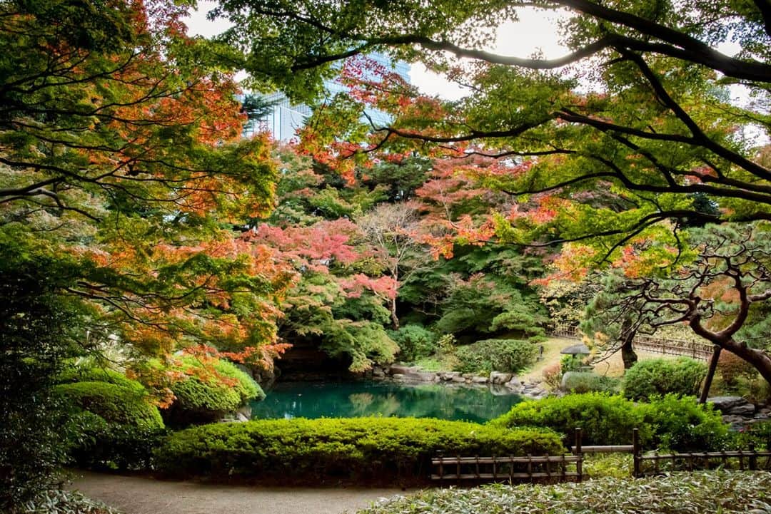 東京都庁広報課のインスタグラム