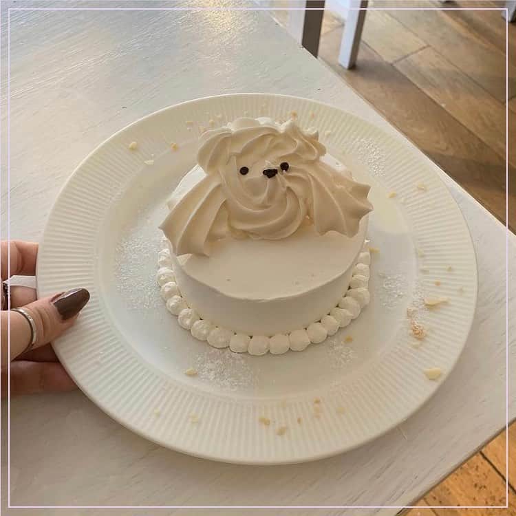 ピコフードさんのインスタグラム写真 - (ピコフードInstagram)「たくさんのぬいぐるみに囲まれたカフェ🧸 小物やケーキまで韓国ぽくてかわいいんです🐩﻿ オーダーケーキもやっているようなので、チェックしてみてください🤍 ﻿ 🍽️🍽️🍽️🍽️🍽️🍽️🍽️🍽️﻿ お店のタグ﻿ #allcscafe  他の地域を探す﻿ #piko_高円寺  🍽️🍽️🍽️🍽️🍽🍽️🍽️ ﻿ @rinacha____  @pino_n160  @mikuu27  @jueri_ruby  @ma__ma__gram  @moeka____0337  @___mikipon___  さん﻿ ありがとうございました！！﻿ 🐥 🐥 🐥 🐥 🐥 🐥 🐥 🐥 🐥 🐥 🐥 🐥﻿ ﻿ ※最新の情報は調べてご確認をお願いします🙇🏻‍♀️﻿ ﻿ 関東圏内のオシャレなグルメの投稿を厳選し、﻿ 紹介してます👣👀﻿ オシャレなグルメを見つけよう！➡️ @piko_food_﻿ #piko_food もつけて投稿してくれると﻿ いいねとたまにコメントしに行きます❤️﻿ ﻿ 🐥 🐥 🐥 🐥 🐥 🐥 🐥 🐥 🐥 🐥 🐥 🐥﻿ ﻿ ﻿ .﻿ ﻿ .﻿ #東京カフェ#東京グルメ#東京カフェ巡り#高円寺カフェ#高円寺カフェ巡り#韓国カフェ風#韓国風カフェ#도쿄카페 #韓国好き#グルメ巡り#グルメ女子#カフェ女子#淡色女子#おしゃれカフェ#おしゃれcafe#韓国風#カフェスタグラム#カフェ活#カフェタイム#cafestagram #カフェ部 #カフェ活 #おしゃれさん#ぬいぐるみ #プードルケーキ #オーダーメイドケーキ #かわいいカフェ」12月7日 17時13分 - piko_food_
