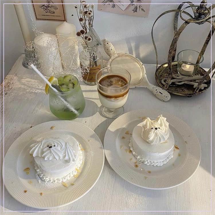 ピコフードさんのインスタグラム写真 - (ピコフードInstagram)「たくさんのぬいぐるみに囲まれたカフェ🧸 小物やケーキまで韓国ぽくてかわいいんです🐩﻿ オーダーケーキもやっているようなので、チェックしてみてください🤍 ﻿ 🍽️🍽️🍽️🍽️🍽️🍽️🍽️🍽️﻿ お店のタグ﻿ #allcscafe  他の地域を探す﻿ #piko_高円寺  🍽️🍽️🍽️🍽️🍽🍽️🍽️ ﻿ @rinacha____  @pino_n160  @mikuu27  @jueri_ruby  @ma__ma__gram  @moeka____0337  @___mikipon___  さん﻿ ありがとうございました！！﻿ 🐥 🐥 🐥 🐥 🐥 🐥 🐥 🐥 🐥 🐥 🐥 🐥﻿ ﻿ ※最新の情報は調べてご確認をお願いします🙇🏻‍♀️﻿ ﻿ 関東圏内のオシャレなグルメの投稿を厳選し、﻿ 紹介してます👣👀﻿ オシャレなグルメを見つけよう！➡️ @piko_food_﻿ #piko_food もつけて投稿してくれると﻿ いいねとたまにコメントしに行きます❤️﻿ ﻿ 🐥 🐥 🐥 🐥 🐥 🐥 🐥 🐥 🐥 🐥 🐥 🐥﻿ ﻿ ﻿ .﻿ ﻿ .﻿ #東京カフェ#東京グルメ#東京カフェ巡り#高円寺カフェ#高円寺カフェ巡り#韓国カフェ風#韓国風カフェ#도쿄카페 #韓国好き#グルメ巡り#グルメ女子#カフェ女子#淡色女子#おしゃれカフェ#おしゃれcafe#韓国風#カフェスタグラム#カフェ活#カフェタイム#cafestagram #カフェ部 #カフェ活 #おしゃれさん#ぬいぐるみ #プードルケーキ #オーダーメイドケーキ #かわいいカフェ」12月7日 17時13分 - piko_food_
