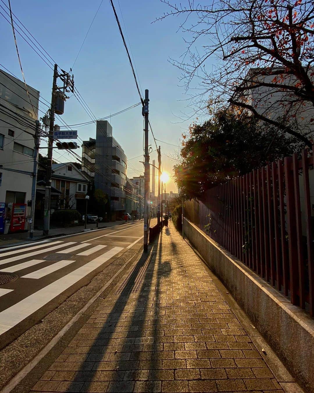 宍戸開さんのインスタグラム写真 - (宍戸開Instagram)「#streetphotography #storyofthestreet #streetoftokyo #streetcinematography #kaishishido #iphone11pro #photography #photographer #photooftheday」12月7日 17時23分 - kaishishido