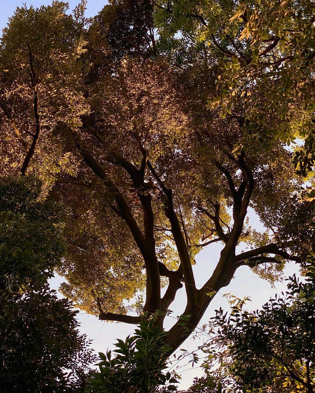 宍戸開のグルメインスタ