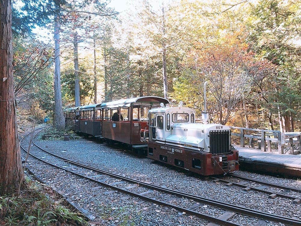のインスタグラム：「You Tubeの汽車だよ #汽車道 #汽車#無限列車に乗りたい」