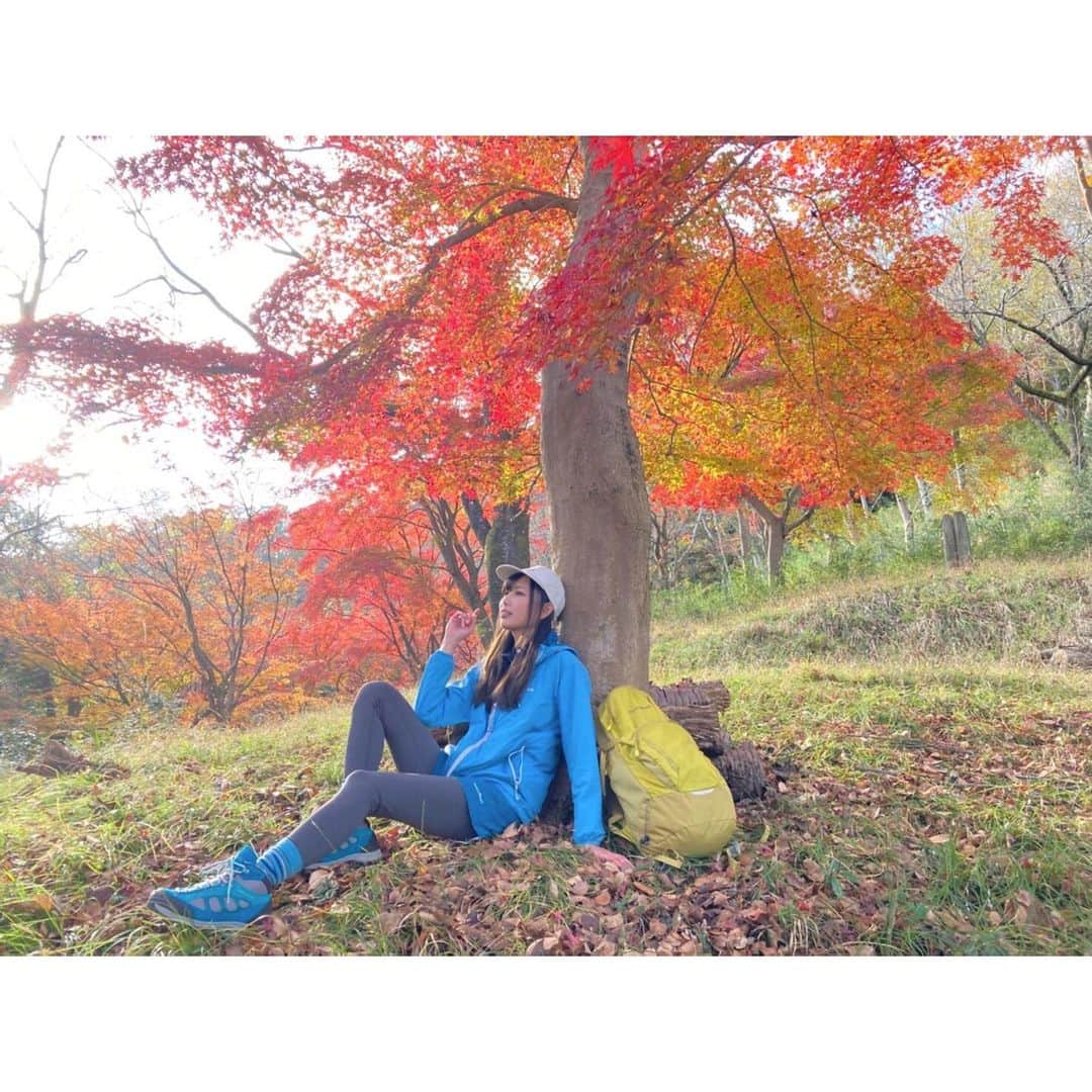 広岡あんずのインスタグラム：「. 飯山白山森林公園は紅葉が とーーってもキレイです🍁✨ そして時々あたしがいます🤣 .  #厚木市 #厚木 #もみじ #紅葉  #飯山白山森林公園 #montbell #山ガール #紅葉スポット #インスタ映え  #厚木市観光PRモデル #厚木市観光協会  #秋 #るるぶ #掲載 #お楽しみに  #広岡あんず #美葵さや加」