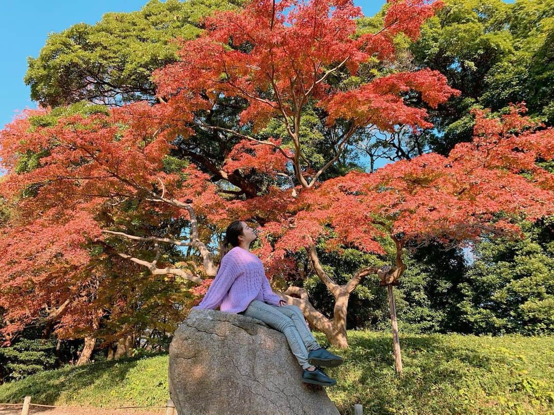 本山なみのインスタグラム：「快晴のサイクリングきもちよかった〜。今年、やっとみれた！  #浜離宮恩賜庭園  #紅葉 #サイクリング」