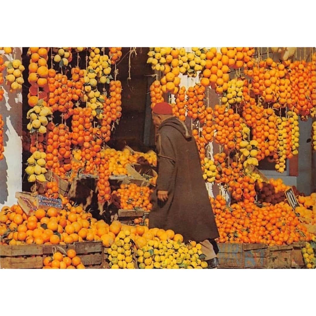 のインスタグラム：「Oranges and lemons in Hammamet, Tunisia」