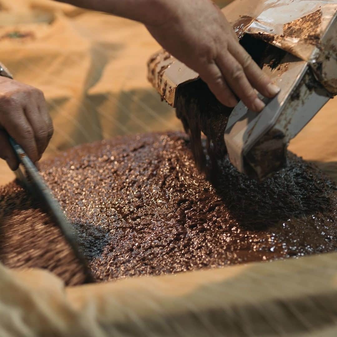 ヒラハルのグルメインスタ