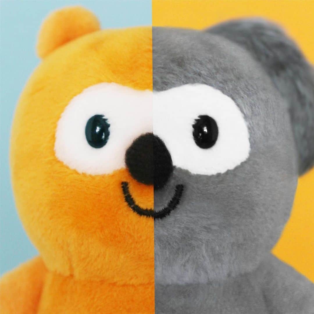 ポンタのインスタグラム：「. ポンタが #はんぶんバケラッタ . . あの子にへん～しんっ！ 似てるかな？ . . . . ポンタ ・｜・ マーチしてるあの子 . . . ぼくもお菓子になってみたいなぁ～🤔 . . . #ponta #ポンタ #はんぶんポンタ #半ポンタ #半バケ #化け練 #特技 #ユーカリ #オーストラリア #半顔メイク #ThePowerOfMakeup #ぬい撮り部 #ぬい撮り #ぬいどり #ぬいすたぐらむ #ポンスタグラム #撮りポン」