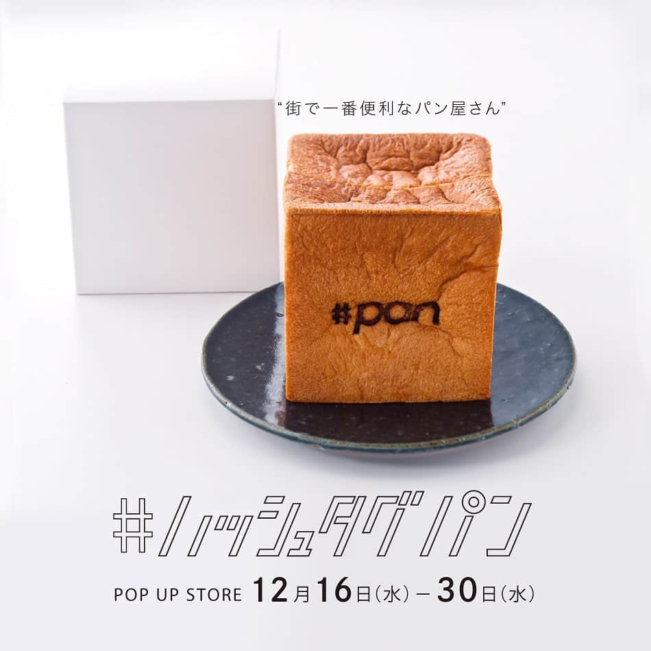 柏の葉 T-SITEのグルメインスタ