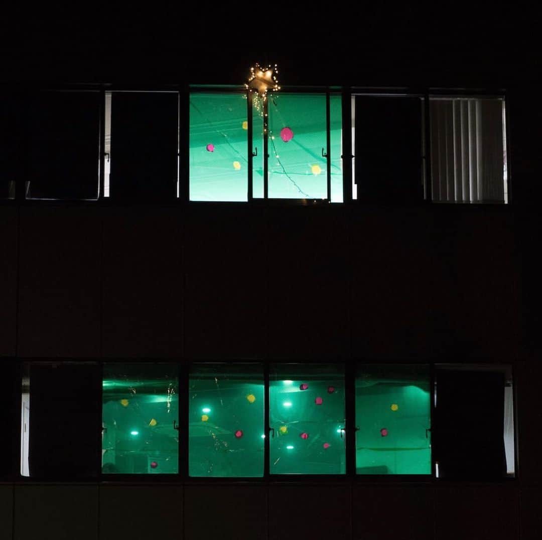 クリエイターズ・ファイル公式（ロバート秋山）さんのインスタグラム写真 - (クリエイターズ・ファイル公式（ロバート秋山）Instagram)「・ 12月7日はクリスマスツリーの日。 ・ アート・プロジェクション・マッピンガーの友田マサヒ。 ・ 浅利製薬東京本社ビルの前で響くカウントダウンの声。  「10、9、......3、2、1、点灯! メリークリスマス!」 オフィスの全ての窓を使って、緑色に輝くツリーが出現したのは有名な話。 ・ 浅利製薬クリスマス・キャンペーンは、多くの若い女性がSNSで拡散し、大成功となった。 ・ では、光を自在に操る友田が苦手なものは何でしょう?! ・ 答えは明日の投稿の最後で! ※昨日のクイズの答え→「ティーチャー・イズ・ア・ヒッチハイカー」 ・ #クリエイターズファイル  #友田マサヒ #プロジェクションマッピング #あかり #光 #照明 #クリスマス #クリスマスツリー #ツリー #イルミネーション #クリエイター #クリエイティブ #写真日記 #日記 #記念日 #ダイアリー #クイズ #サプライズ #ザテレビジョン」12月7日 18時22分 - creatorsfile_officialgoods