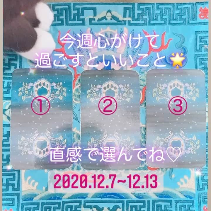 岩政久美子のインスタグラム：「🌟2020.12.7~12.13今週心がけて過ごすといいこと🌟  クリスマスが近いからか、少し寂しさや物足りなさを感じるようなカードが出ました🐱  どんな状況でも、素敵なことは必ずあるので前を向き続けることをやめないで🌟  #占い  #今週の運勢  #タロット #クリスマス #占い師クミコ」