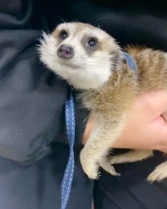 【公式】福岡ECO動物海洋専門学校のインスタグラム