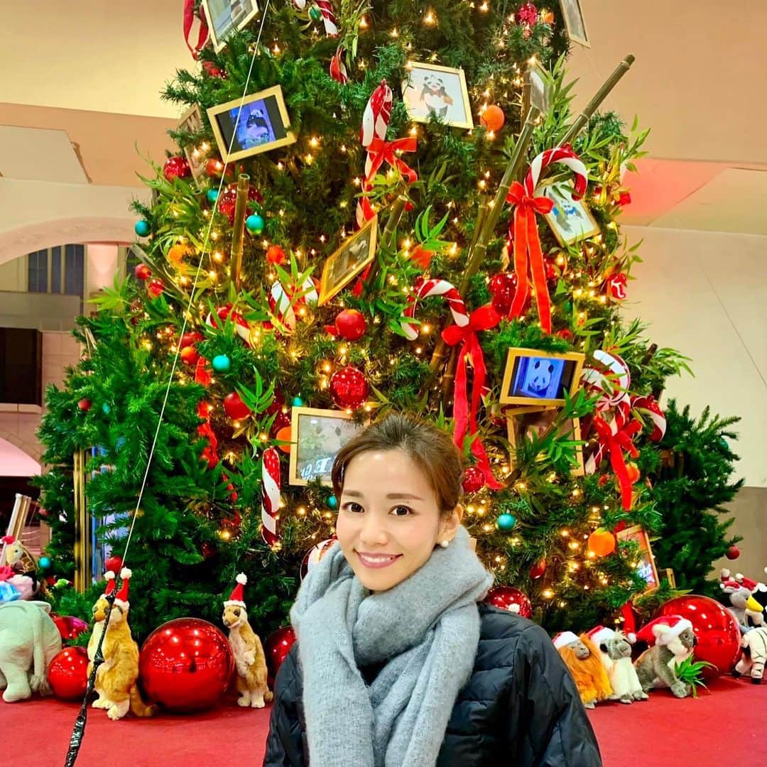 福山唯のインスタグラム：「街にツリーがたくさん出ていますね☺️🎄🐼♡ . . インビザライン の経過です🦷 歯にアタッチメントが着きました。 最初はすごい違和感でしたが、大分慣れました☺️ ゴムをかけるために下の歯には金属のボタンを取り付け、上の歯のアライナーとボタンにゴムをかけています。 . . ゴムも日によって痛い時もありますが…矯正している方々と励まし合い頑張ってます🥺✨！ . .  #christmas  #christmastree #panda #invisalign #pulcino #クリスマスツリー #パンダ　#インビザライン #矯正　#矯正女子　#プルチーノ歯科矯正歯科 🦷」