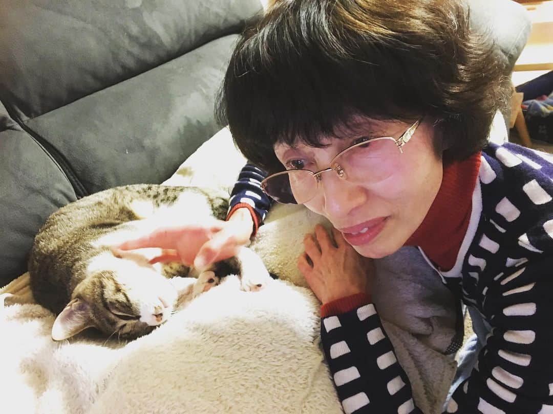 野本かりあのインスタグラム：「タカコのお誕生日🎂 おめでとう、タカコ。 そのままで居て❤️ #先日の西表島でルカ預けたらルカマスタータカコに昇格　＃普通に話しかけるしルカ返事するしで会話成立」