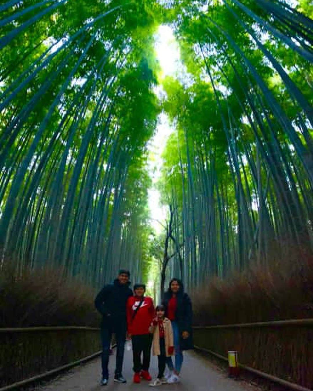 エウシーニョさんのインスタグラム写真 - (エウシーニョInstagram)「❤️ @angelicaejj  #bambooforest」12月7日 18時55分 - elsinhoajj