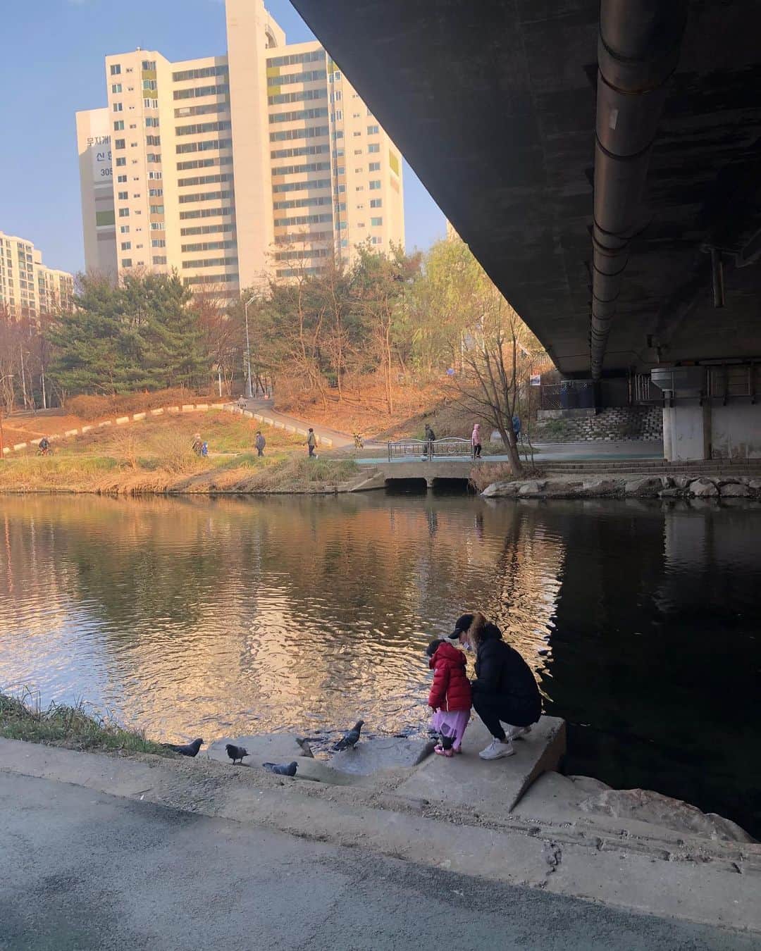 パク・ジョンチョルのインスタグラム：「물고기 밥주고왔어요~아빠랑보내는시간이 넘 좋아요^^ #산책 #소소한일상 #코로나일상기록」
