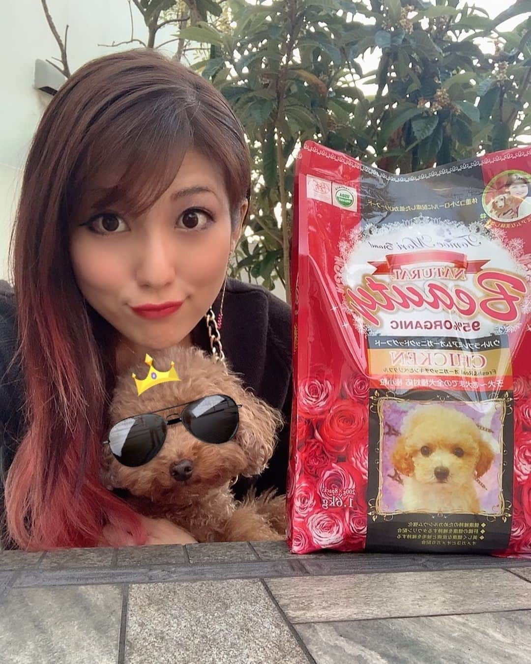 神谷麻美さんのインスタグラム写真 - (神谷麻美Instagram)「#ペットサロンエムズ の#ドックフード だよ🐶💕✨  #オーガニックドッグフード なの🥰🌷✨  #オーガニック だから身体に良さそうだし、美味しそうに食べてました☺わーい💗🐩❣️✨  パッケージが薔薇とトイプードルなのも可愛い🥰🌹💗✨  今のキングちゃん毛伸びてるから、サングラスしたよ😎💕👑笑  #犬の健康 #いぬごはん #犬ごはん #今日のワンコ #小型犬用 #低カロリー  #トイプードル #キング ちゃん大好き🥰💗✨」12月7日 19時23分 - asamice428