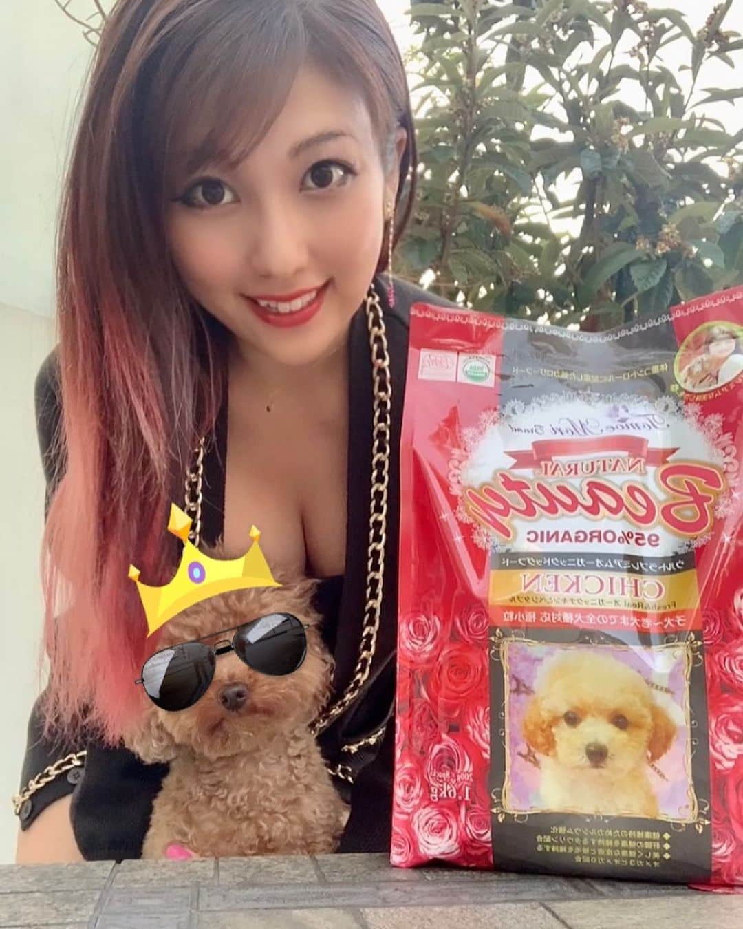 神谷麻美さんのインスタグラム写真 - (神谷麻美Instagram)「#ペットサロンエムズ の#ドックフード だよ🐶💕✨  #オーガニックドッグフード なの🥰🌷✨  #オーガニック だから身体に良さそうだし、美味しそうに食べてました☺わーい💗🐩❣️✨  パッケージが薔薇とトイプードルなのも可愛い🥰🌹💗✨  今のキングちゃん毛伸びてるから、サングラスしたよ😎💕👑笑  #犬の健康 #いぬごはん #犬ごはん #今日のワンコ #小型犬用 #低カロリー  #トイプードル #キング ちゃん大好き🥰💗✨」12月7日 19時23分 - asamice428